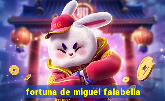 fortuna de miguel falabella